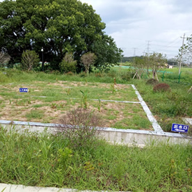 污水处理项目现场